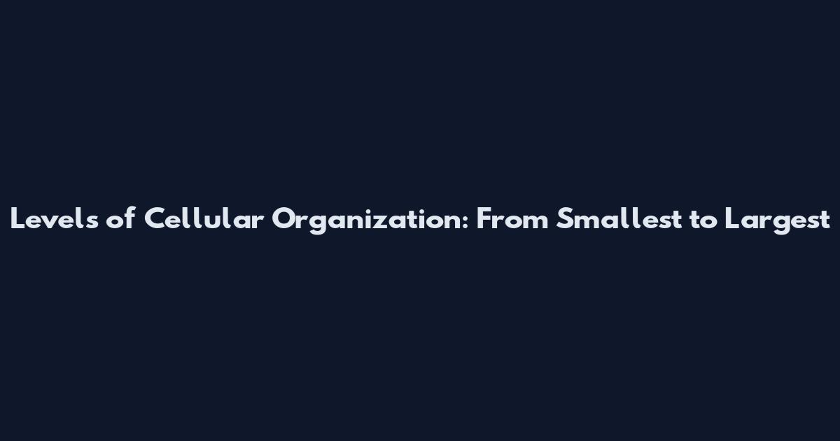 Levels of Cellular Organization: From Smallest to Largest