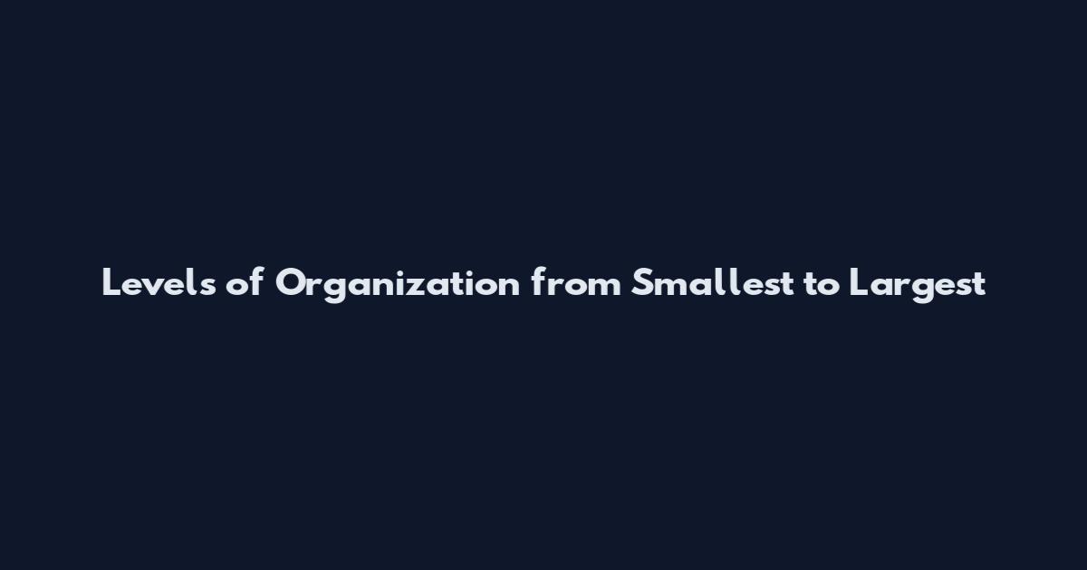 Levels of Organization from Smallest to Largest