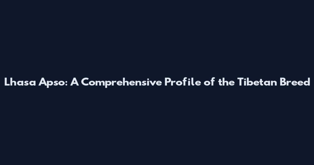 Lhasa Apso: A Comprehensive Profile of the Tibetan Breed