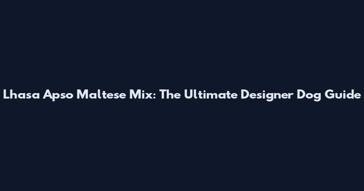 Lhasa Apso Maltese Mix: The Ultimate Designer Dog Guide