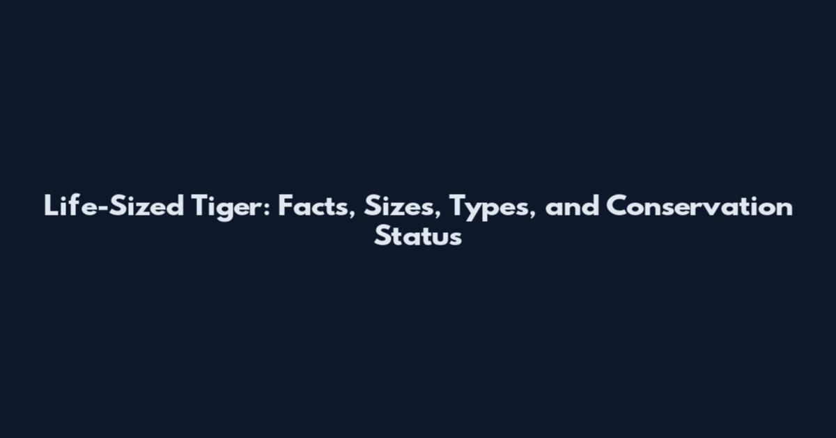Life-Sized Tiger: Facts, Sizes, Types, and Conservation Status