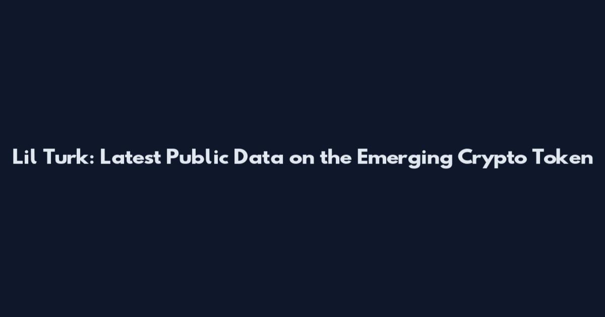 Lil Turk: Latest Public Data on the Emerging Crypto Token