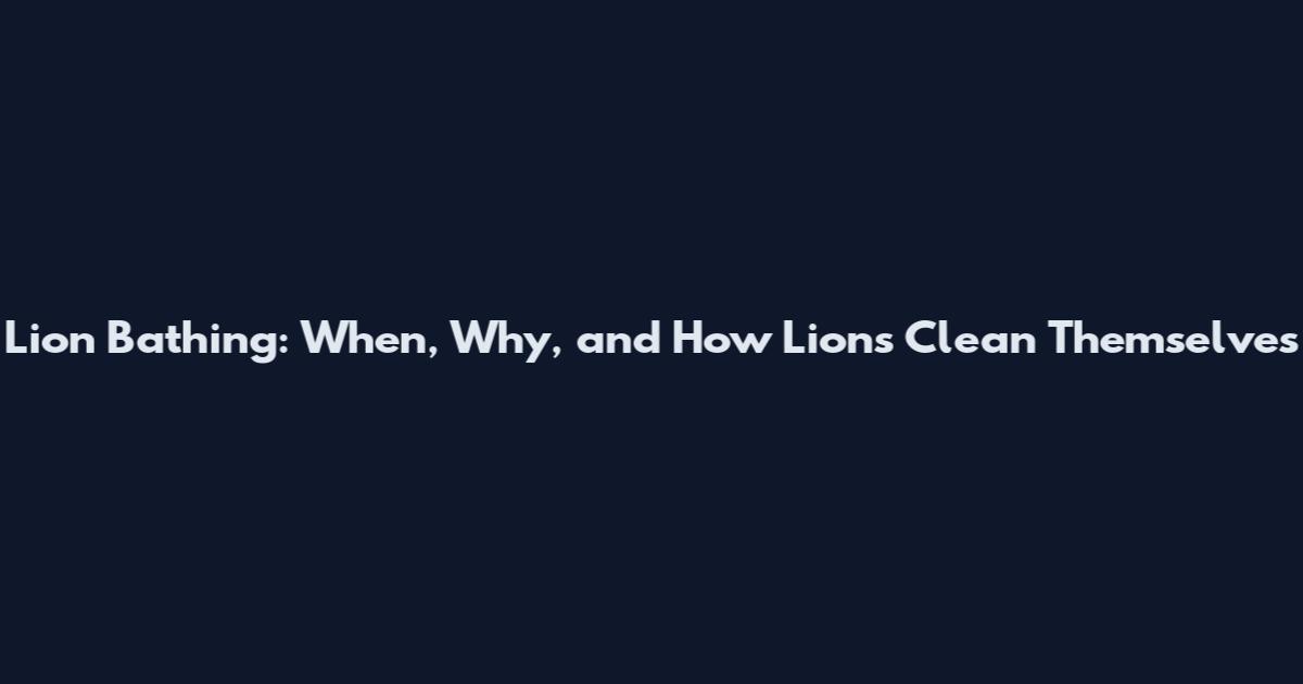 Lion Bathing: When, Why, and How Lions Clean Themselves
