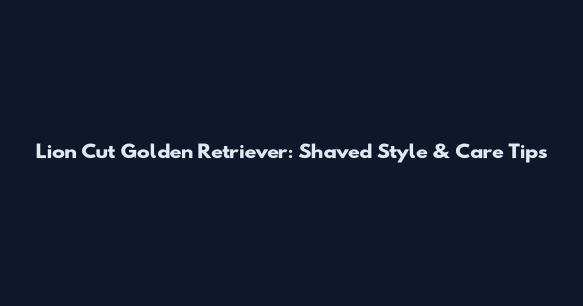 Lion Cut Golden Retriever: Shaved Style & Care Tips