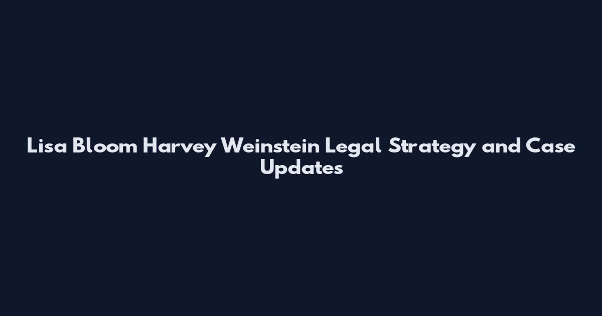 Lisa Bloom Harvey Weinstein Legal Strategy and Case Updates