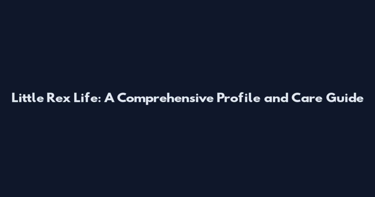 Little Rex Life: A Comprehensive Profile and Care Guide