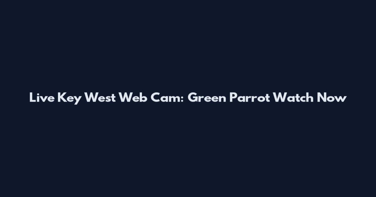 Live Key West Web Cam: Green Parrot Watch Now