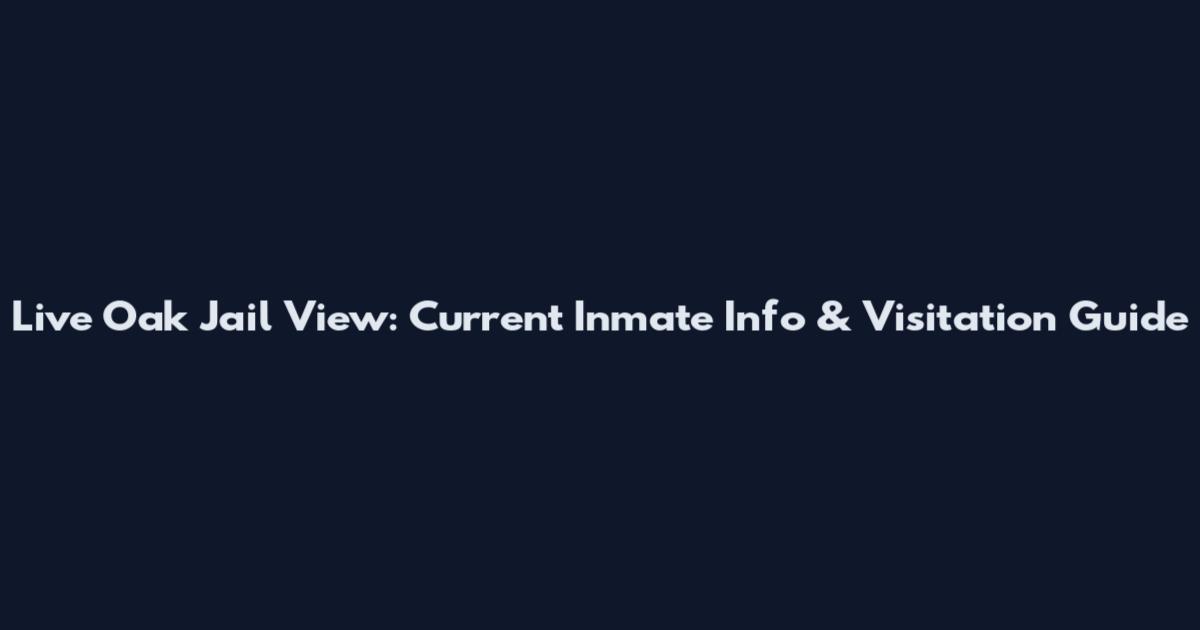 Live Oak Jail View: Current Inmate Info & Visitation Guide