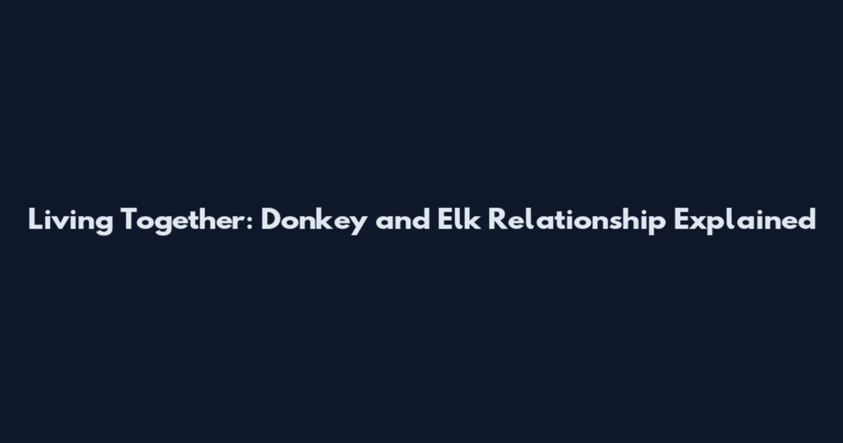 Living Together: Donkey and Elk Relationship Explained