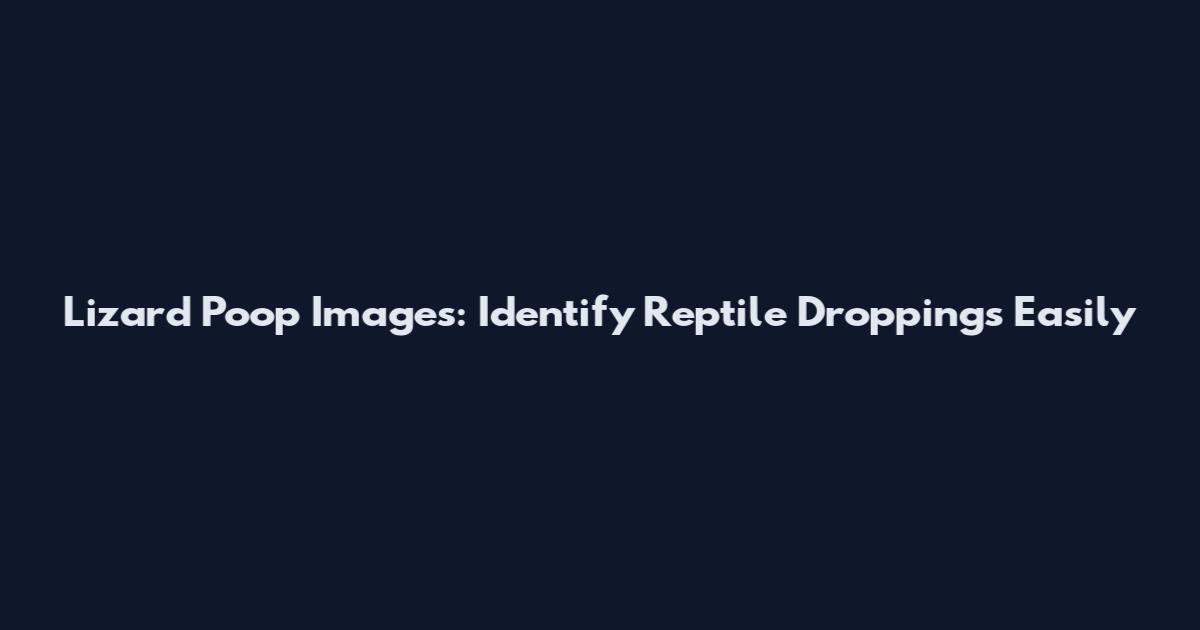 Lizard Poop Images: Identify Reptile Droppings Easily