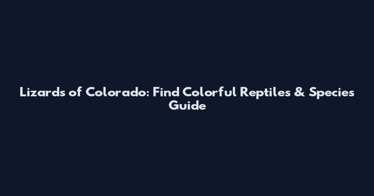 Lizards of Colorado: Find Colorful Reptiles & Species Guide