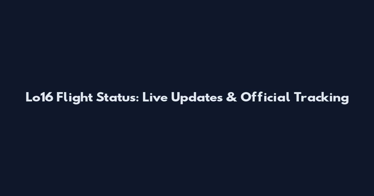Lo16 Flight Status: Live Updates & Official Tracking