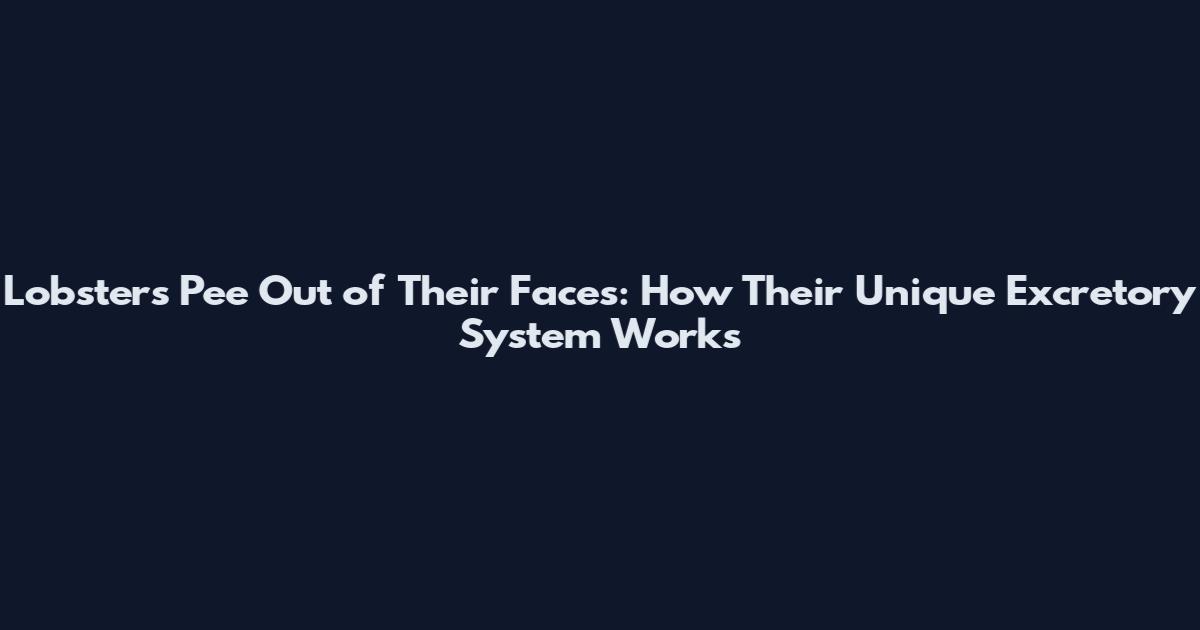 Lobsters Pee Out of Their Faces: How Their Unique Excretory System Works