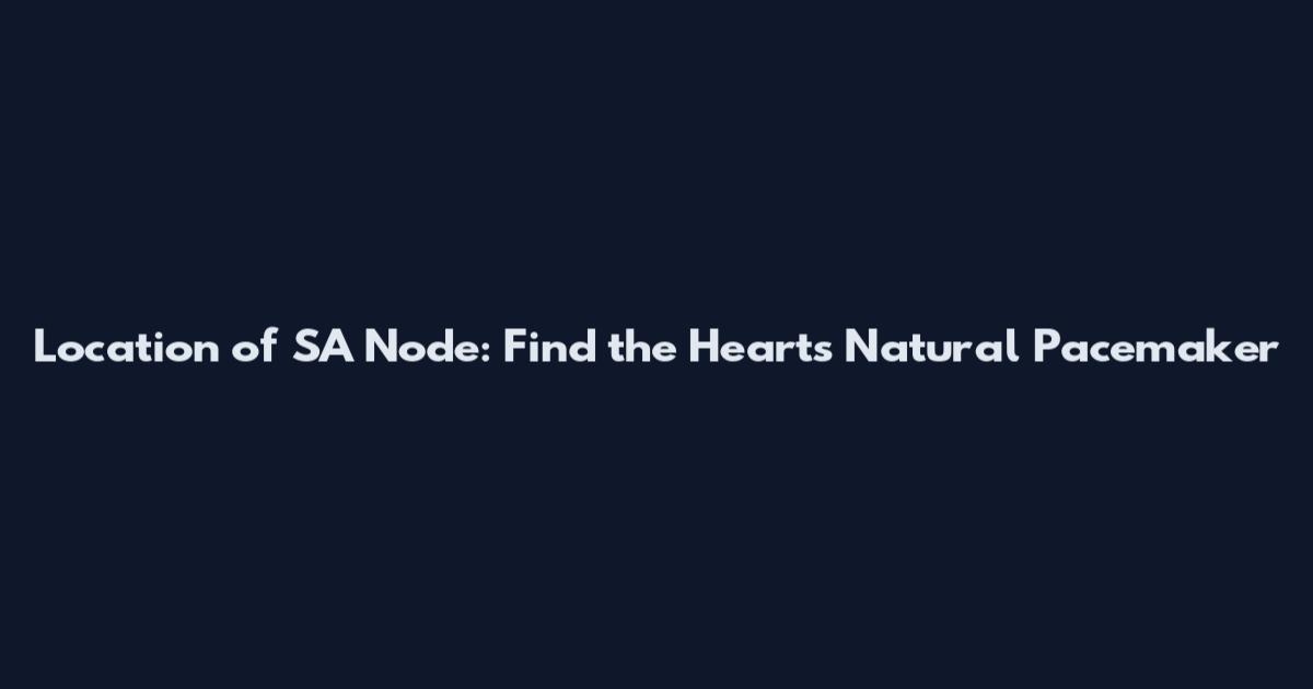 Location of SA Node: Find the Heart's Natural Pacemaker