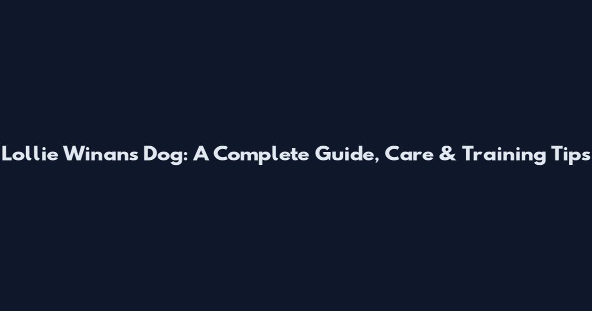 Lollie Winans Dog: A Complete Guide, Care & Training Tips