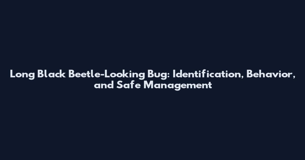 Long Black Beetle-Looking Bug: Identification, Behavior, and Safe Management
