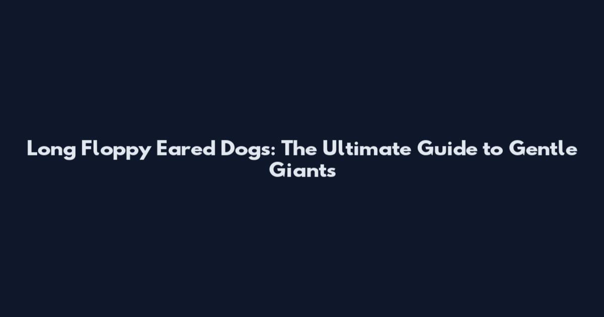 Long Floppy Eared Dogs: The Ultimate Guide to Gentle Giants