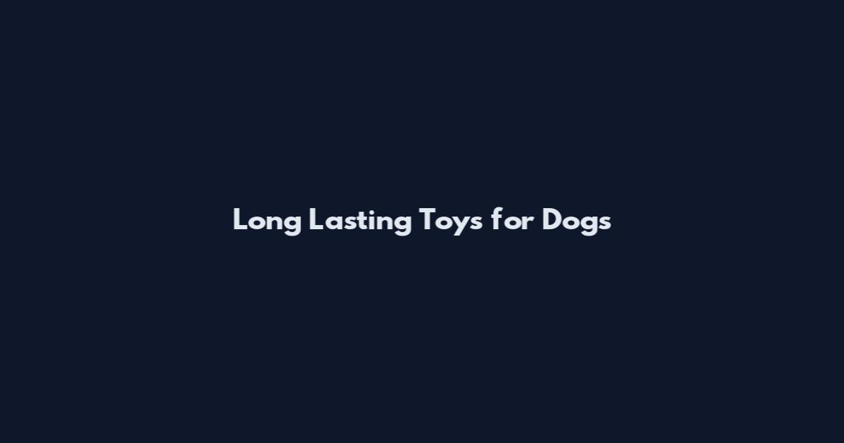 Long Lasting Toys for Dogs