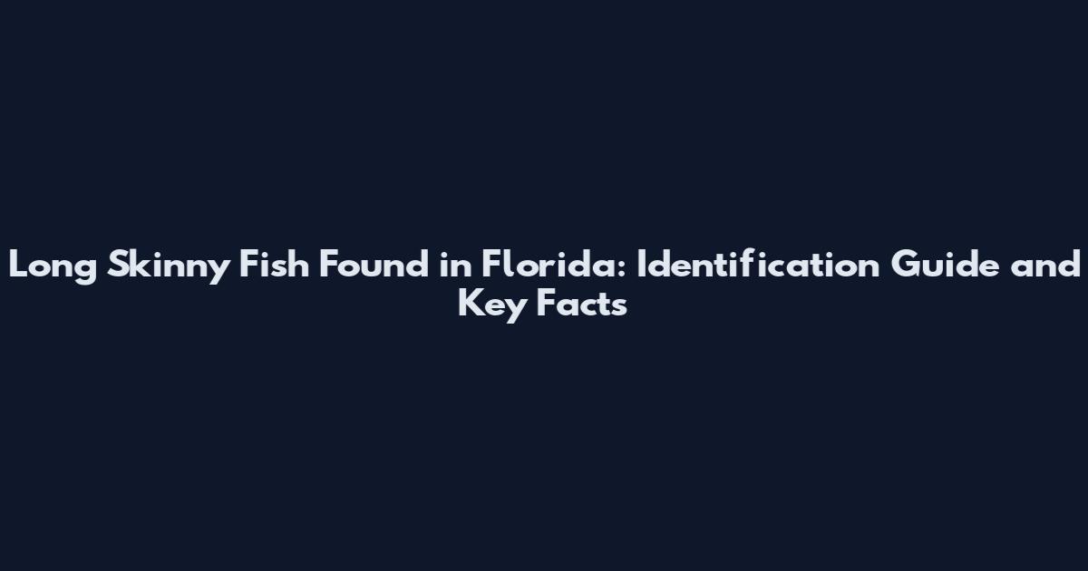 Long Skinny Fish Found in Florida: Identification Guide and Key Facts