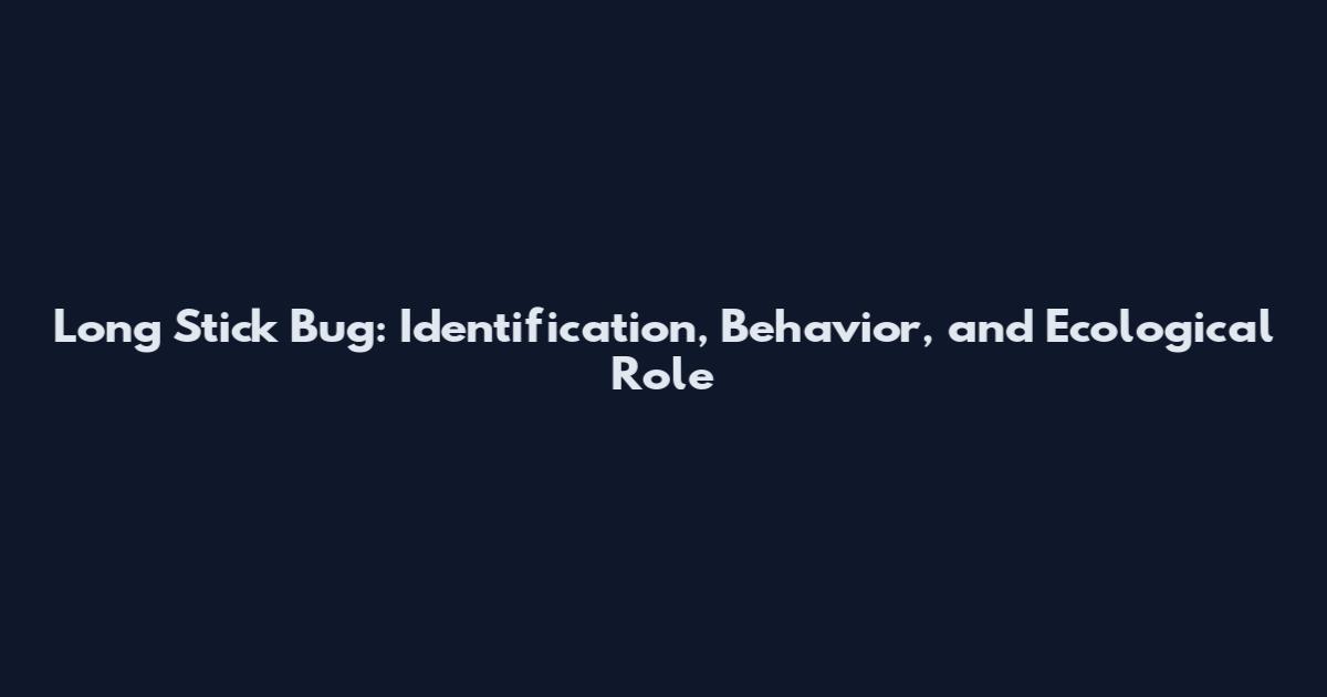 Long Stick Bug: Identification, Behavior, and Ecological Role
