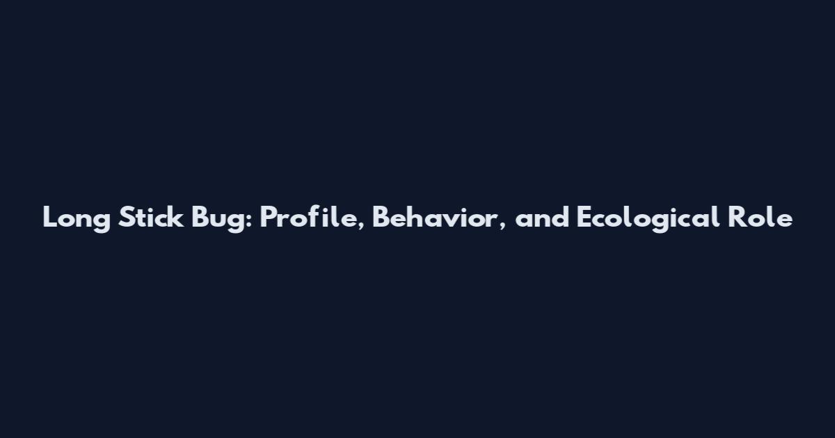 Long Stick Bug: Profile, Behavior, and Ecological Role