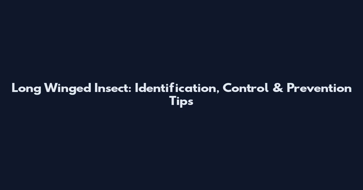 Long Winged Insect: Identification, Control & Prevention Tips