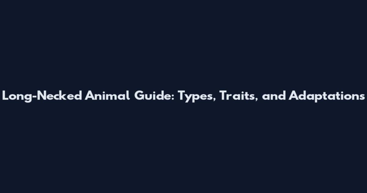 Long-Necked Animal Guide: Types, Traits, and Adaptations