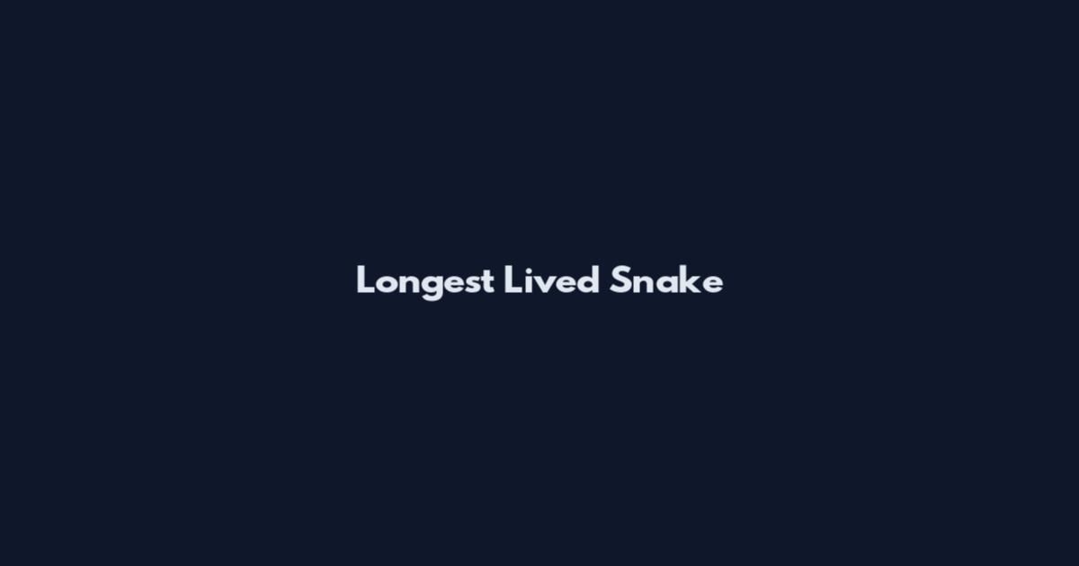 Longest Lived Snake