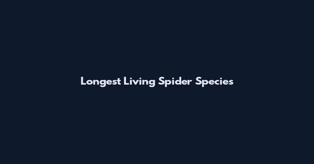 Longest Living Spider Species