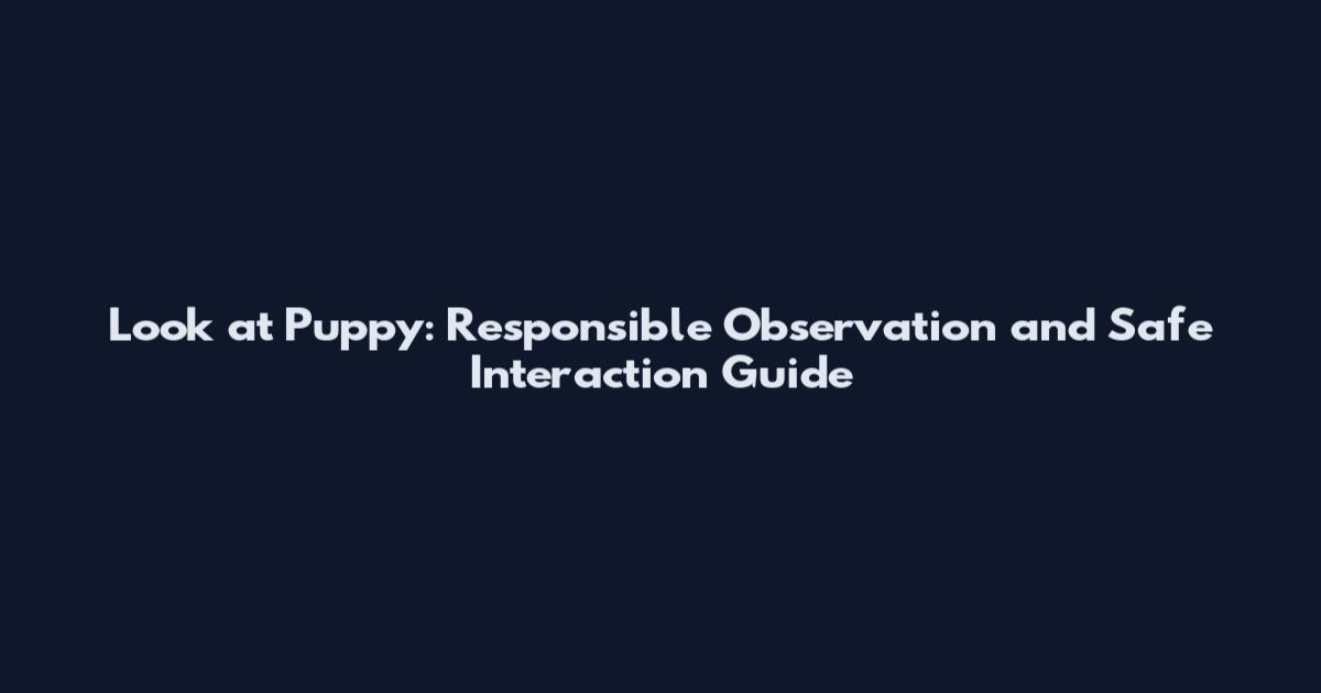 Look at Puppy: Responsible Observation and Safe Interaction Guide