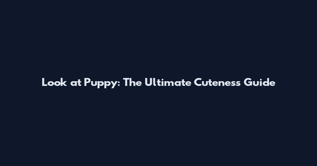 Look at Puppy: The Ultimate Cuteness Guide