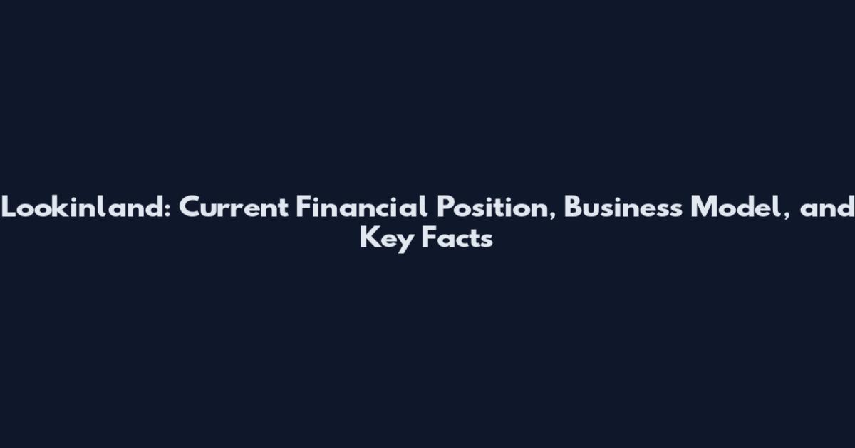 Lookinland: Current Financial Position, Business Model, and Key Facts