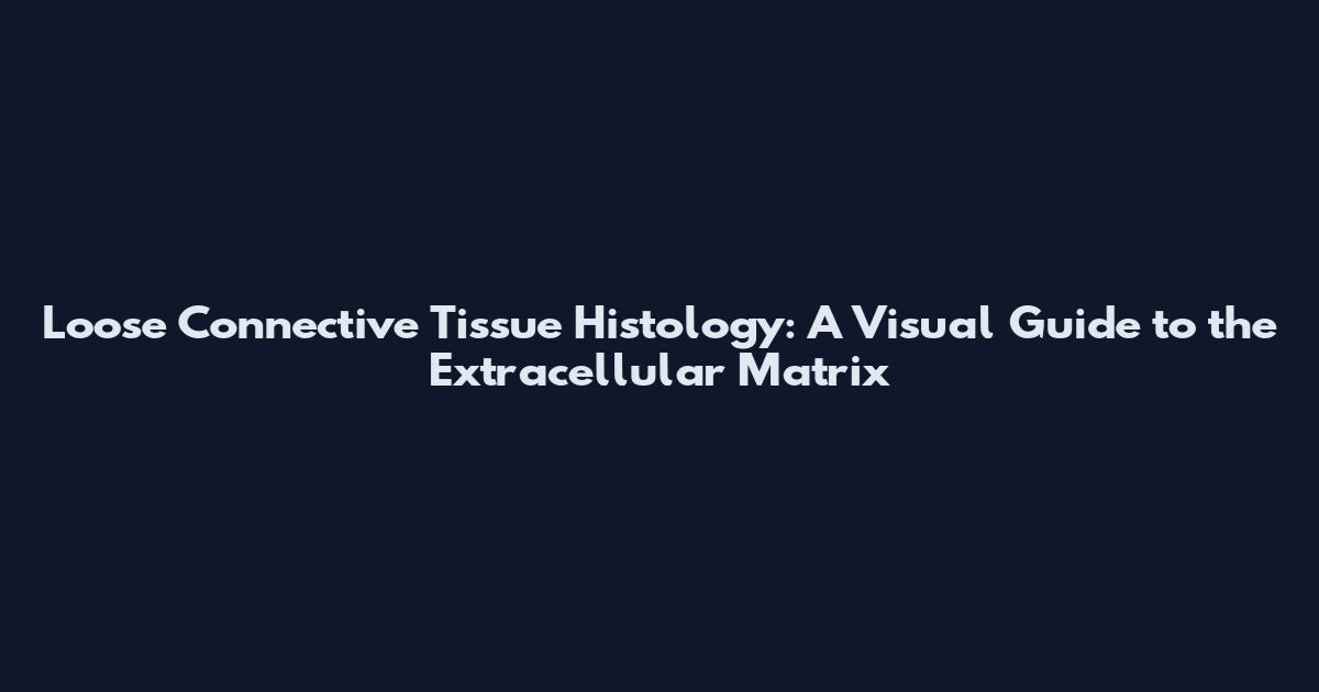 Loose Connective Tissue Histology: A Visual Guide to the Extracellular Matrix