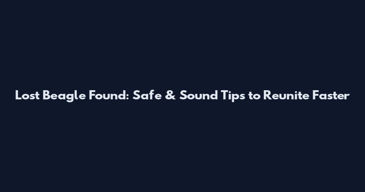 Lost Beagle Found: Safe & Sound Tips to Reunite Faster