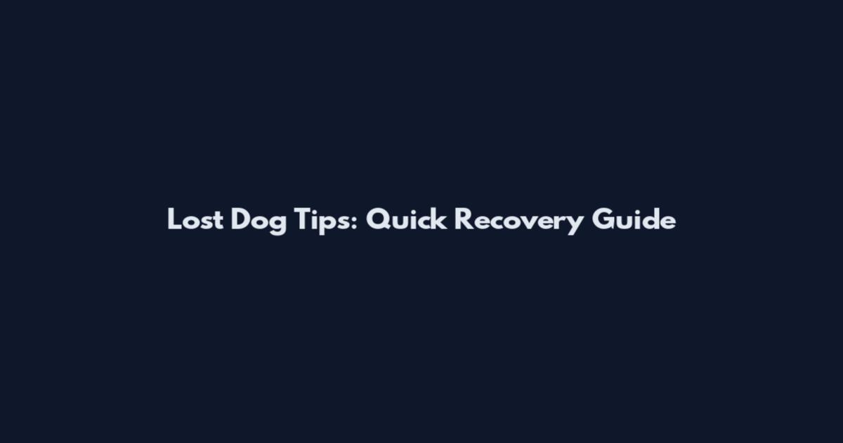 Lost Dog Tips: Quick Recovery Guide