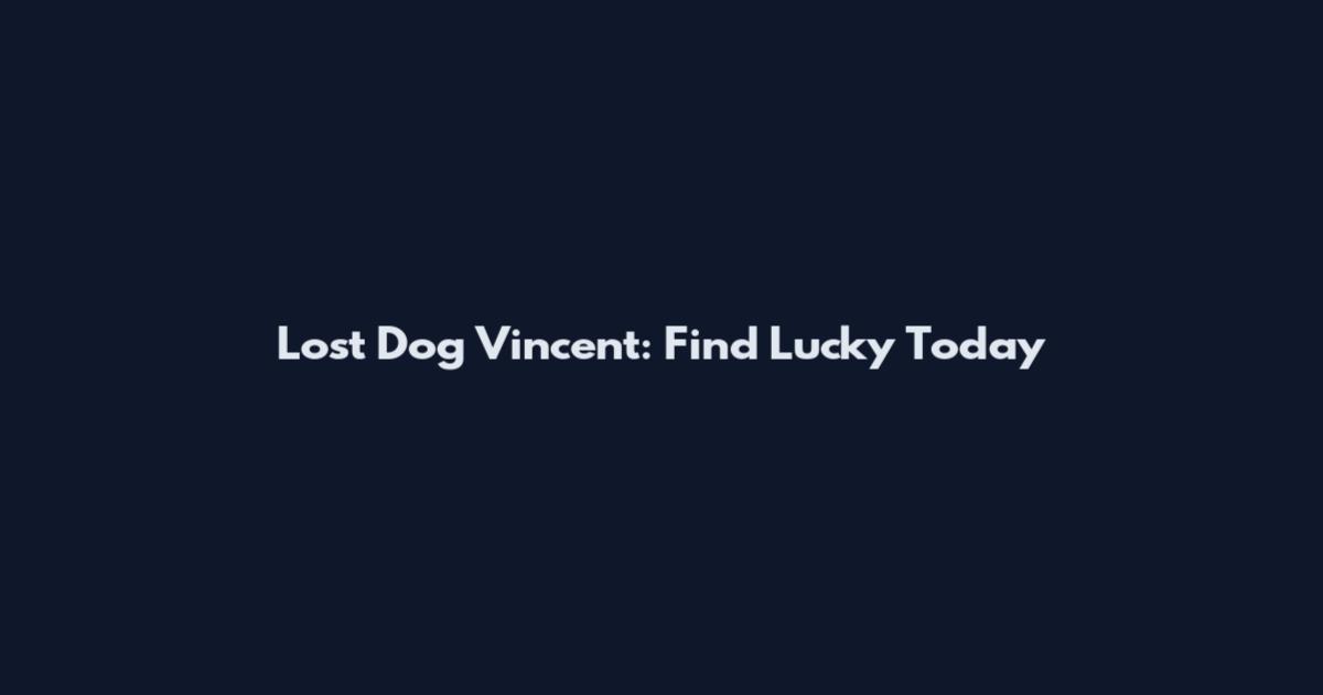 Lost Dog Vincent: Find Lucky Today