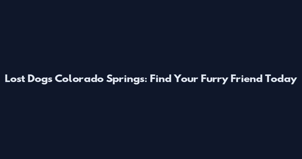 Lost Dogs Colorado Springs: Find Your Furry Friend Today
