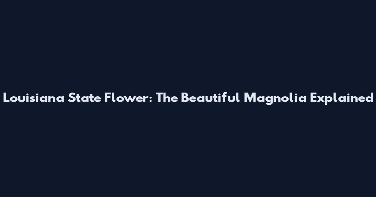 Louisiana State Flower: The Beautiful Magnolia Explained