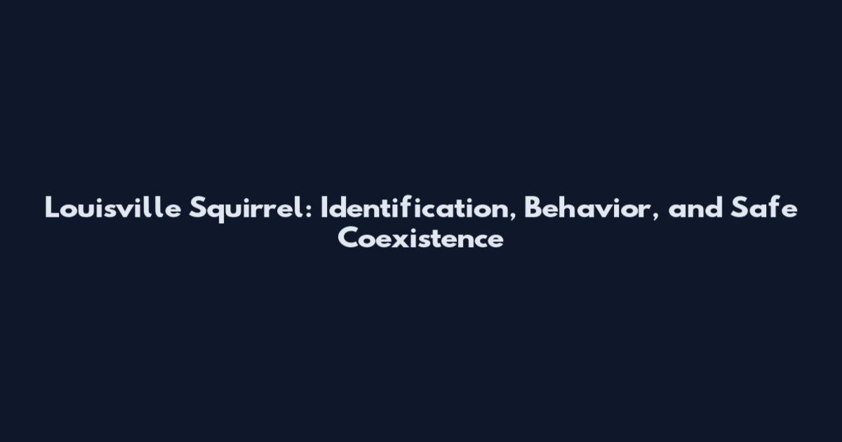 Louisville Squirrel: Identification, Behavior, and Safe Coexistence
