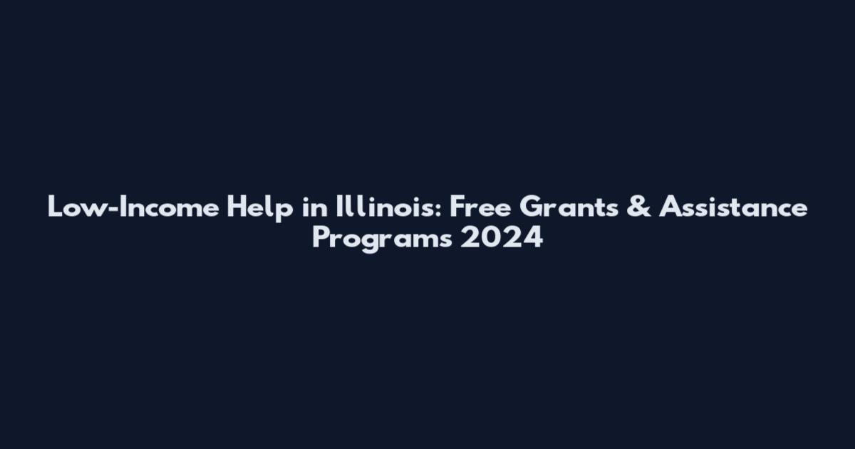 Low-Income Help in Illinois: Free Grants & Assistance Programs 2024