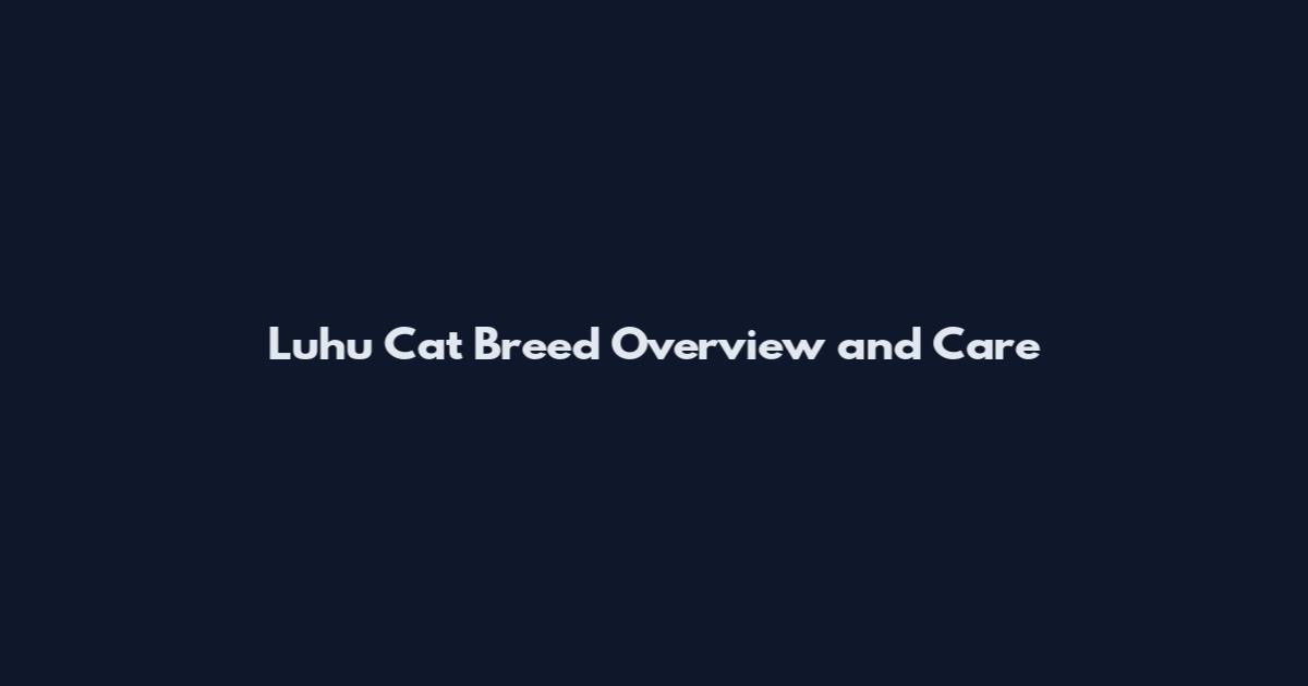 Luhu Cat Breed Overview and Care