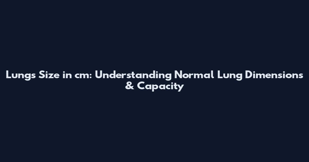 Lungs Size in cm: Understanding Normal Lung Dimensions & Capacity