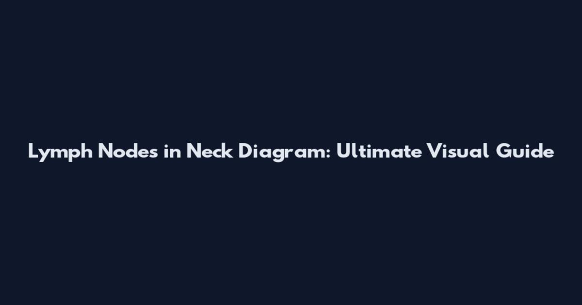 Lymph Nodes in Neck Diagram: Ultimate Visual Guide