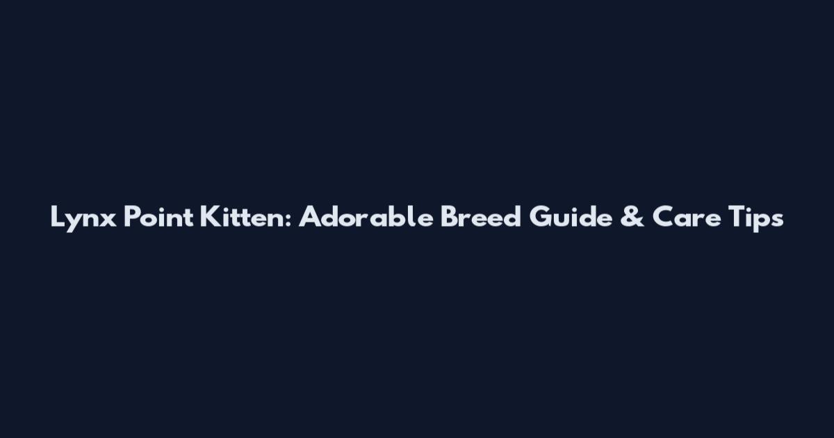 Lynx Point Kitten: Adorable Breed Guide & Care Tips