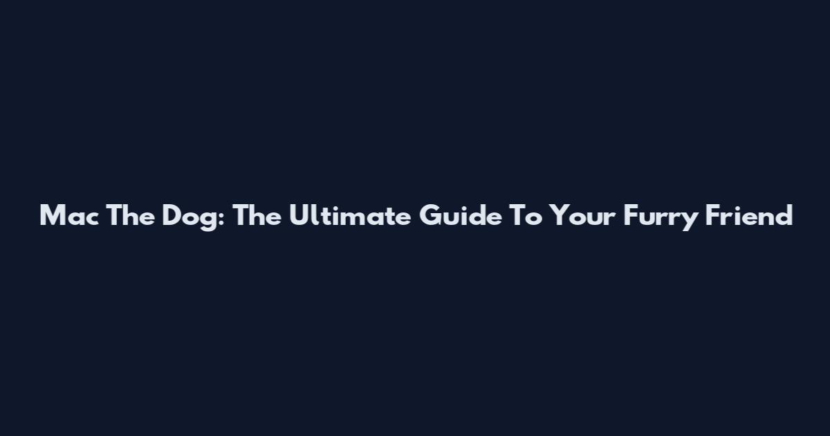 Mac The Dog: The Ultimate Guide To Your Furry Friend