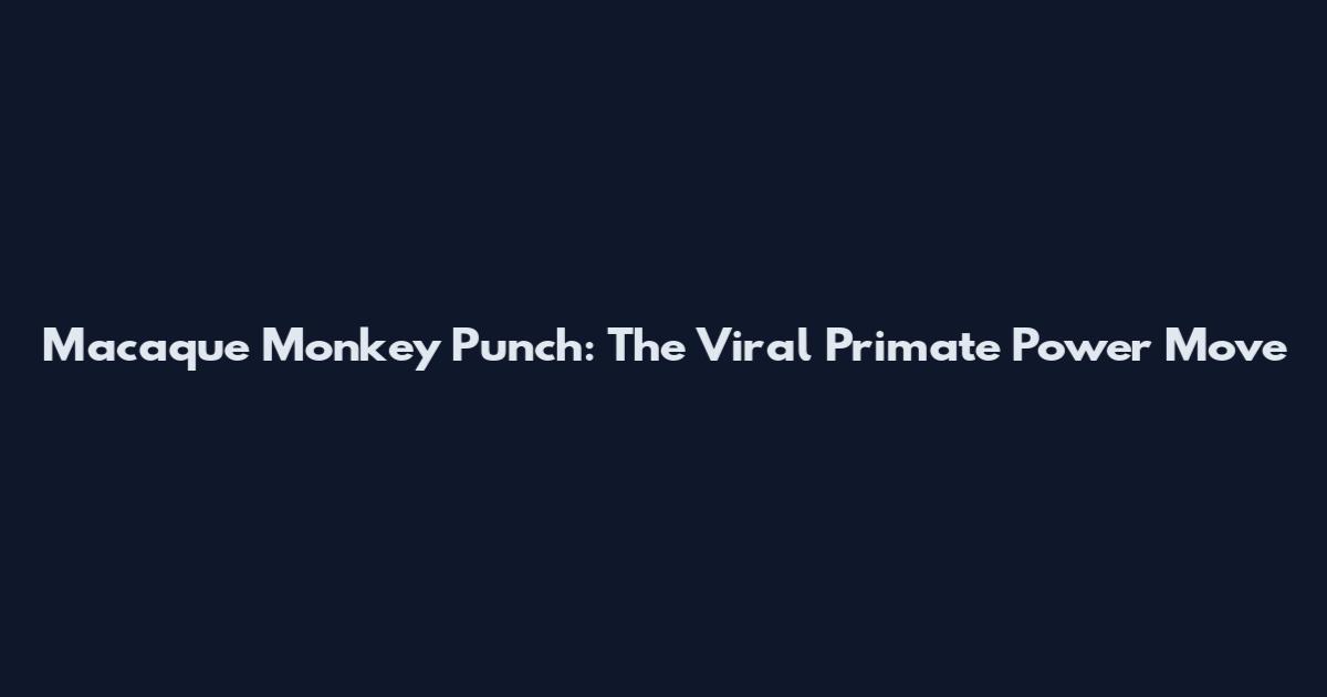 Macaque Monkey Punch: The Viral Primate Power Move