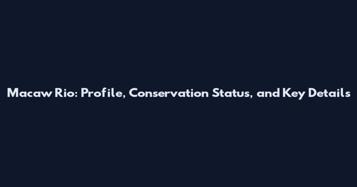 Macaw Rio: Profile, Conservation Status, and Key Details