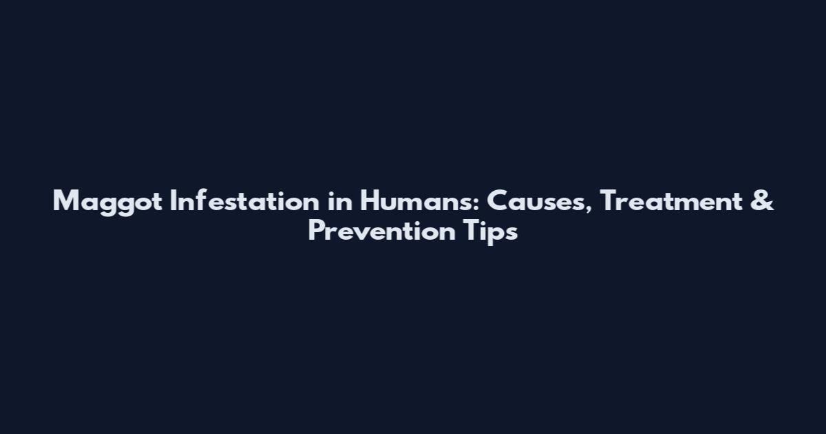 Maggot Infestation in Humans: Causes, Treatment & Prevention Tips