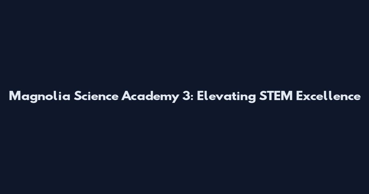 Magnolia Science Academy 3: Elevating STEM Excellence