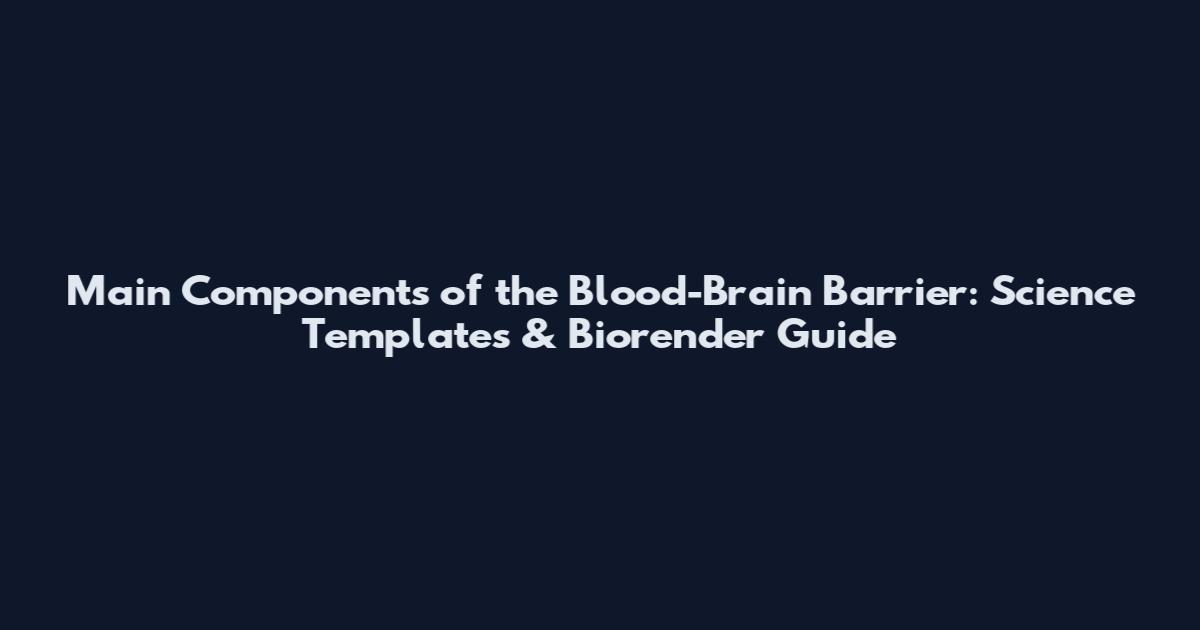 Main Components of the Blood-Brain Barrier: Science Templates & Biorender Guide